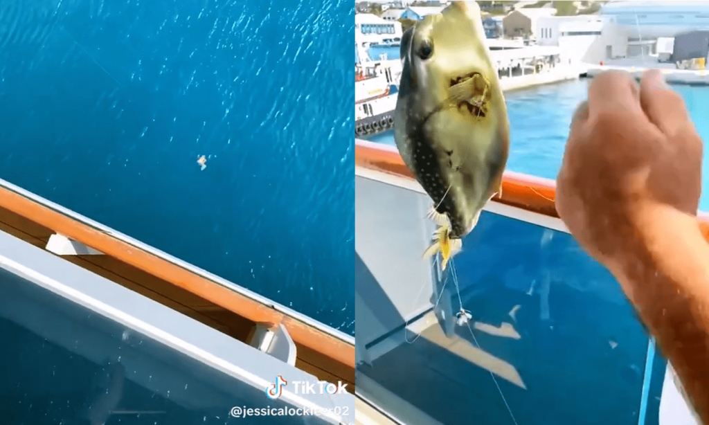 bahamas vacationer lands a fish from cruise ship balcony whiskey