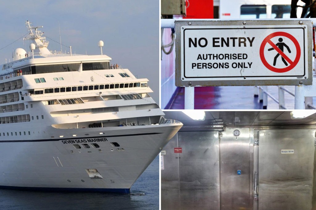 cruise ship code words - Cruise ship confessions: Secret code words & an on-board morgue