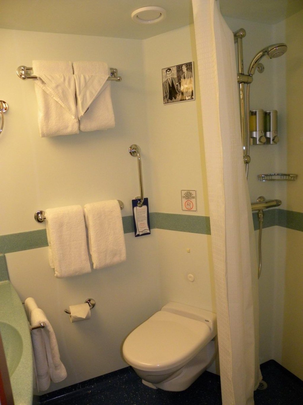 small cruise ship bathroom - Cruise ships  Tiny bathroom, Small spaces, Cruise