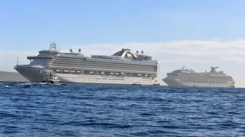 cabo san lucas cruise ship schedule 2022 - Everything to Know About Cabo San Lucas Cruise Port
