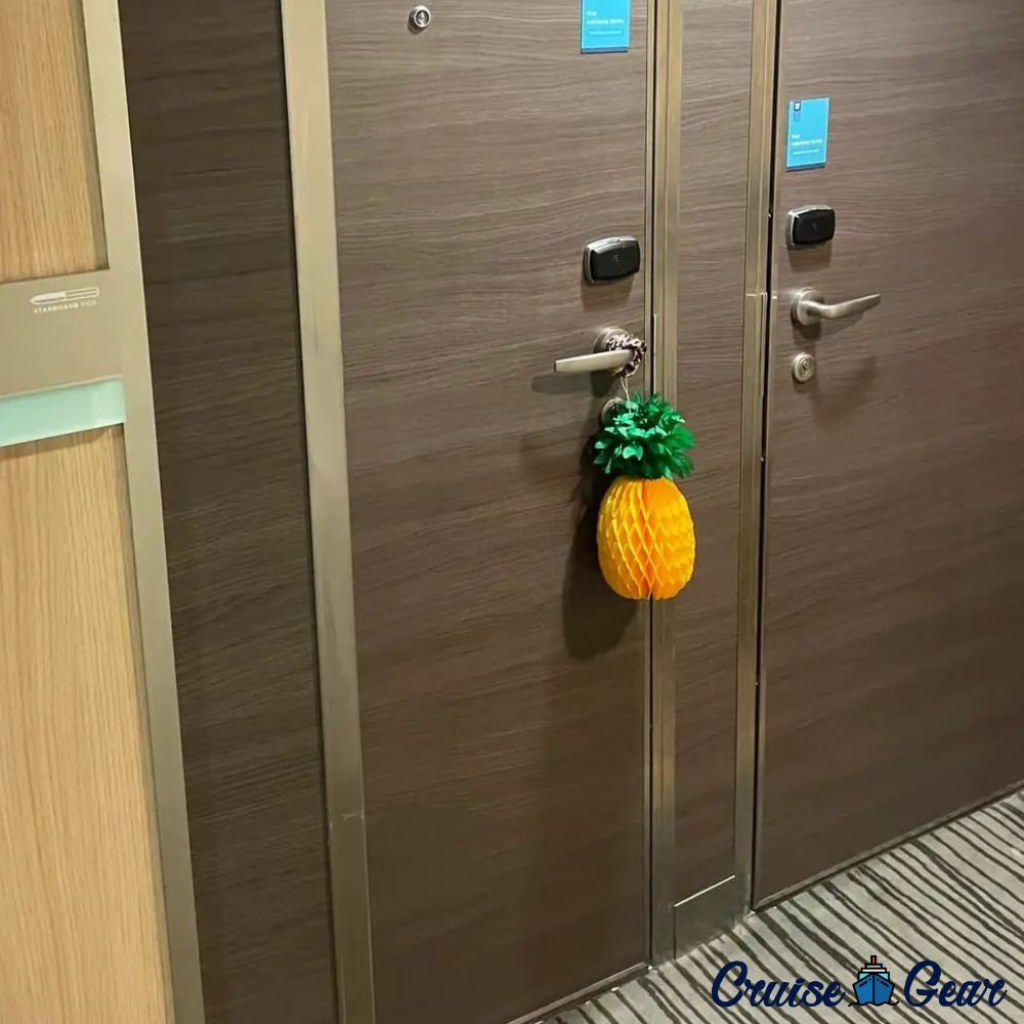 pineapples on doors of cruise ship - Pineapple On Cruise Doors