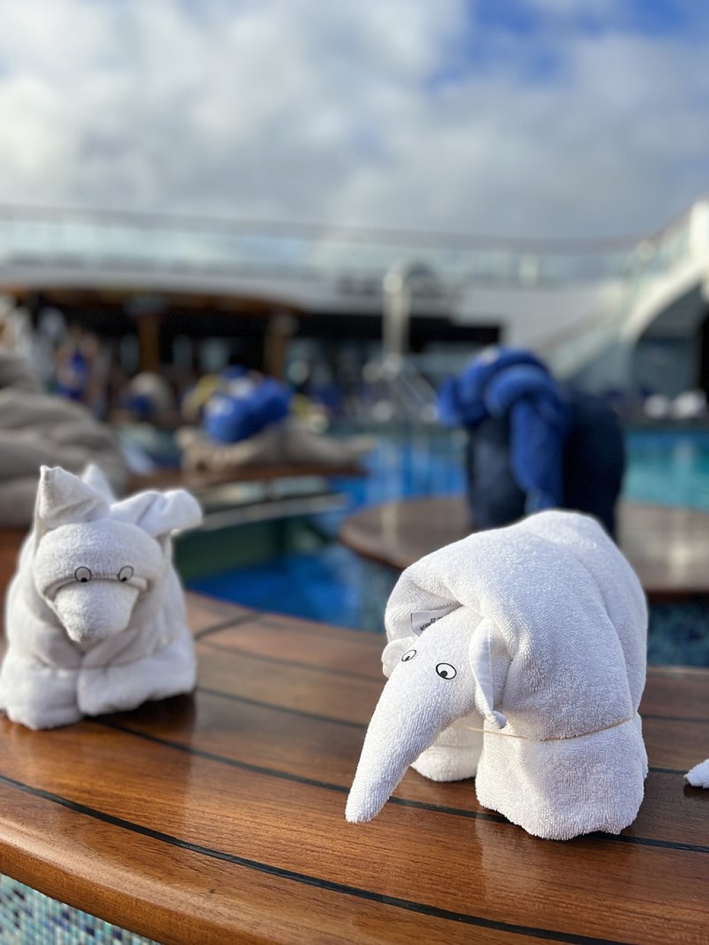 cruise ship towel animals - Towel animal - Wikipedia